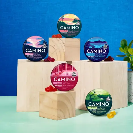 Several circular Camino gummy tins in various colors displayed on light wooden blocks against a blue background.