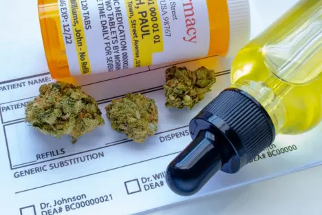 A close-up of dried cannabis buds resting on a medical prescription form next to an orange pill bottle and a dropper of golden oil.