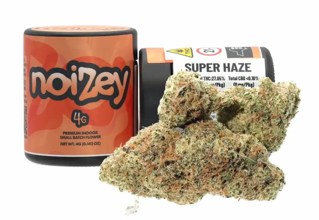 Noizey Premium Indoor- Nuna Harvest