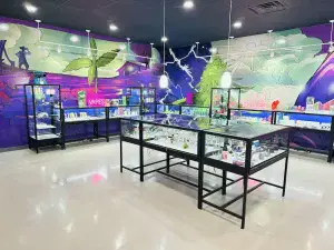 Nuna Harvest interior with glass display cases for vapes and edibles