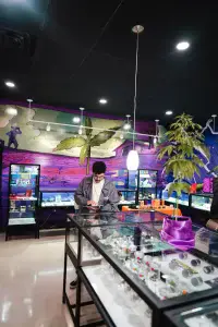 Nuna Staff- Nuna Harvest