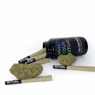Ritual Papaya Plum Pre-Rolls